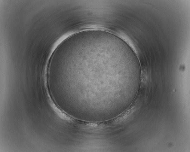 X0000097621098200802291319