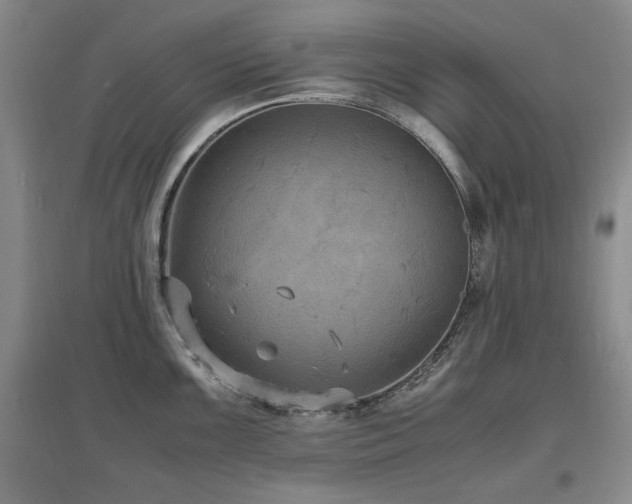 X0000097621099200802291319