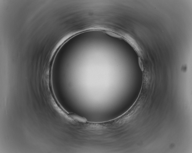 X0000097621100200802291319