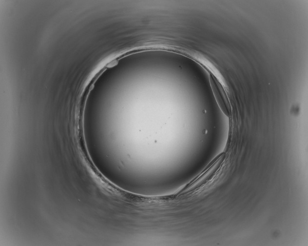 X0000097621101200802291319