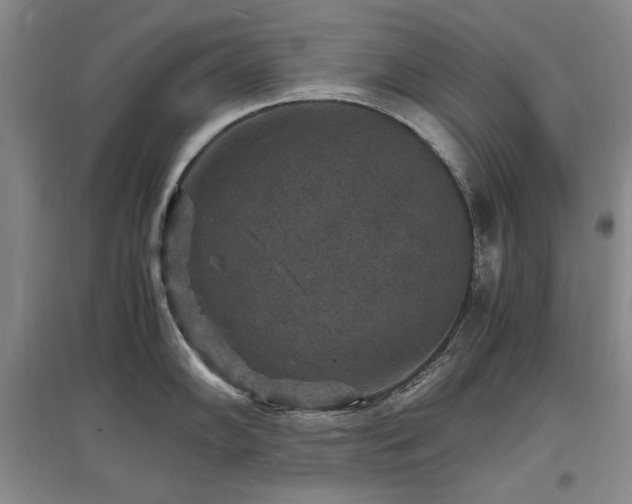 X0000097621102200802291319