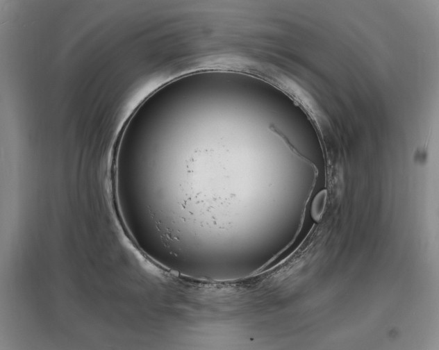 X0000097621103200802291319