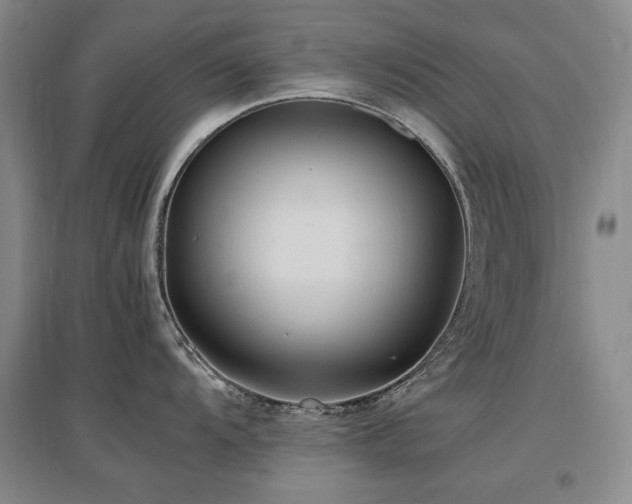 X0000097621104200802291319