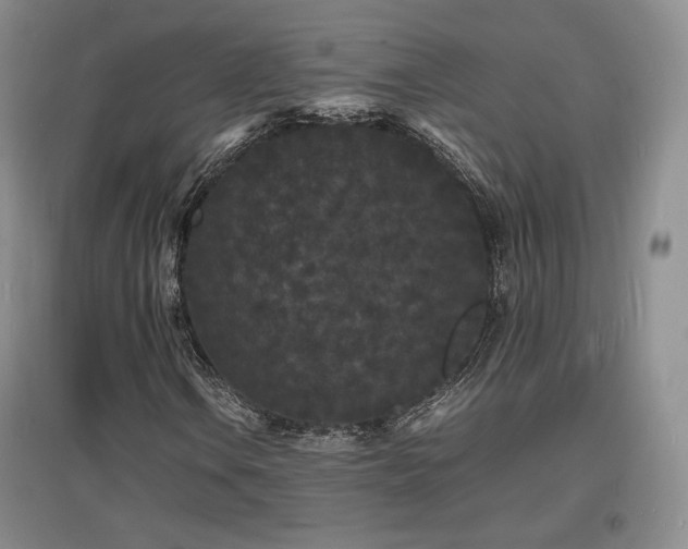X0000097621106200802291319