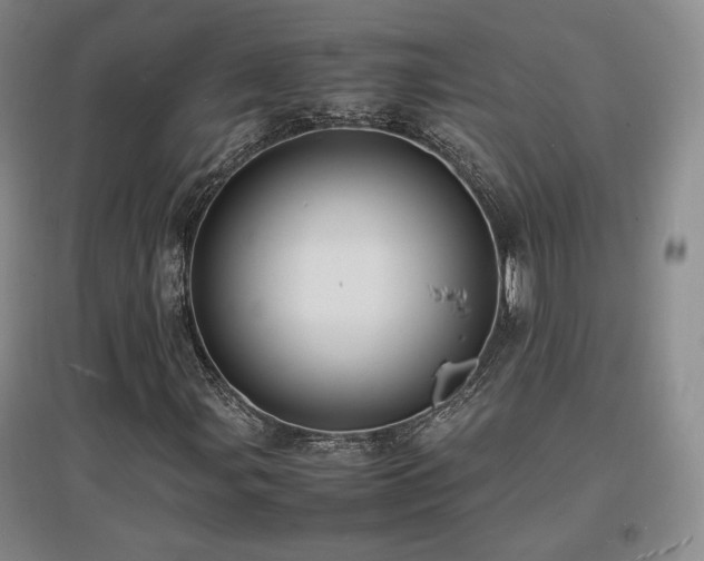 X0000097621107200802291319