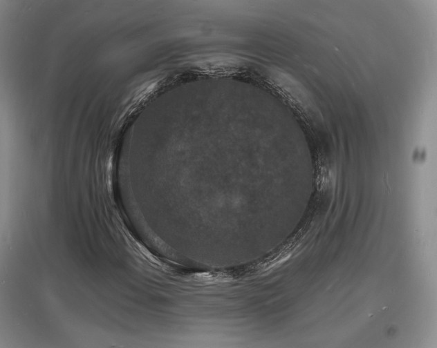 X0000097621108200802291319
