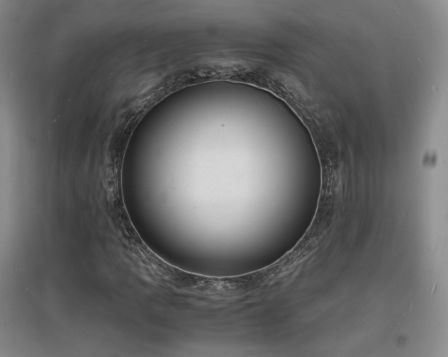 X0000097621109200802291319