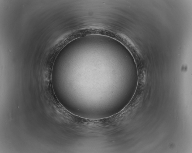 X0000097621110200802291319
