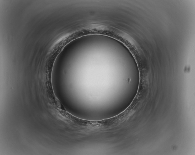 X0000097621112200802291319
