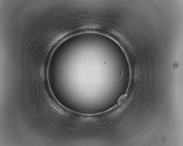 X0000097621113200802291319