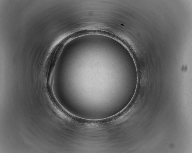 X0000097621114200802291319