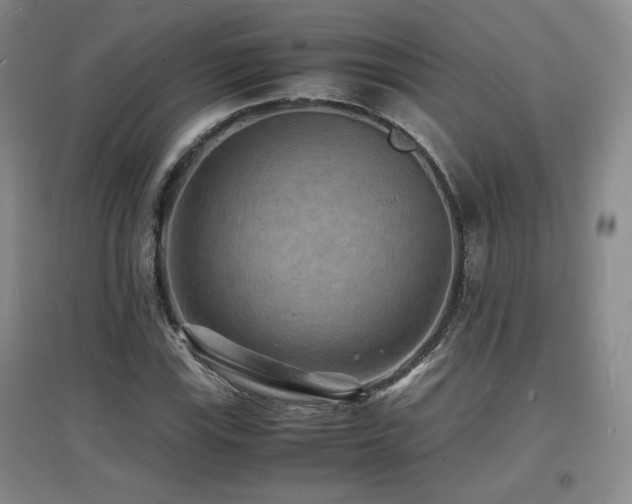 X0000097621115200802291319