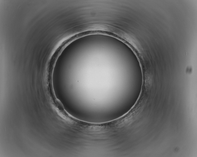 X0000097621116200802291319