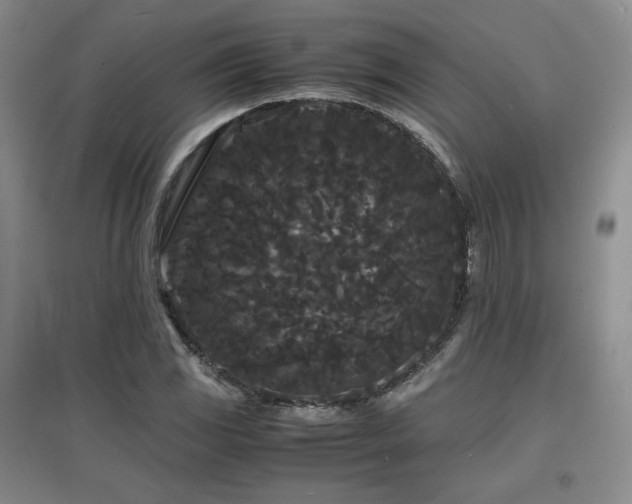 X0000097621117200802291319