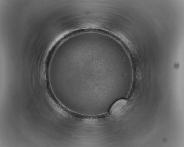 X0000097621118200802291319