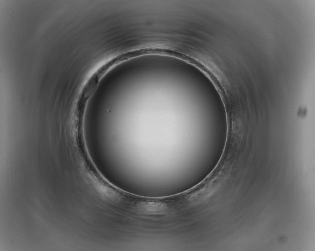 X0000097621119200802291319