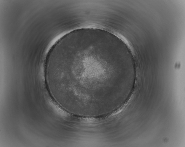 X0000097621120200802291319