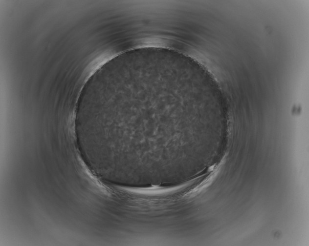 X0000097621121200802291319