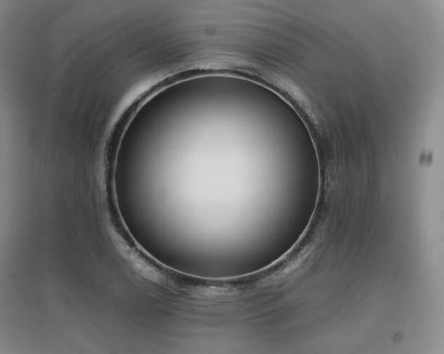 X0000097621122200802291319