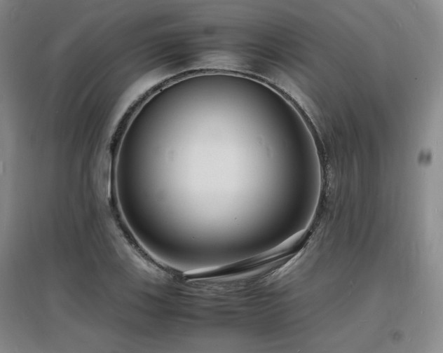 X0000097621123200802291319