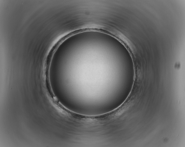 X0000097621124200802291319