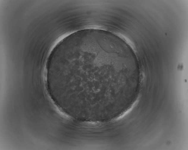 X0000097621125200802291319