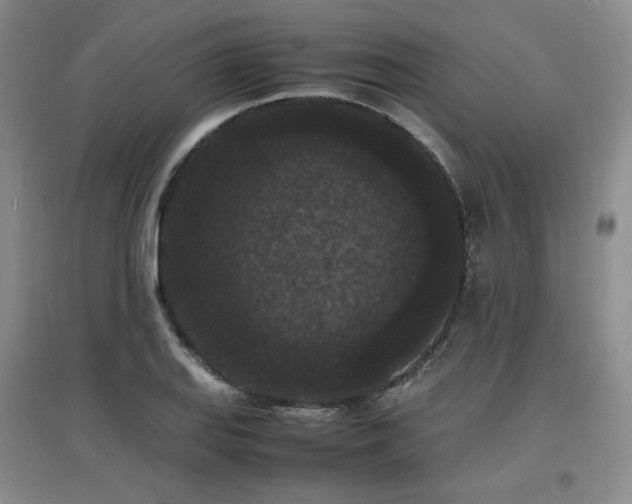 X0000097621127200802291319