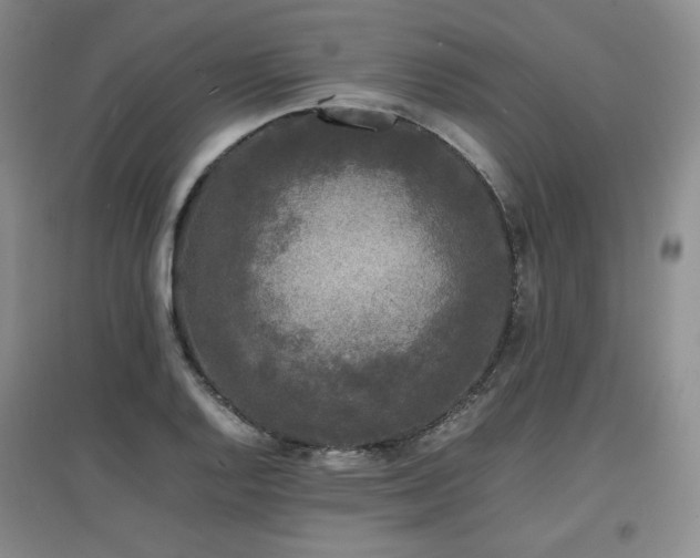 X0000097621128200802291319