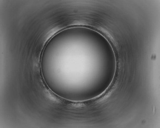 X0000097621129200802291319