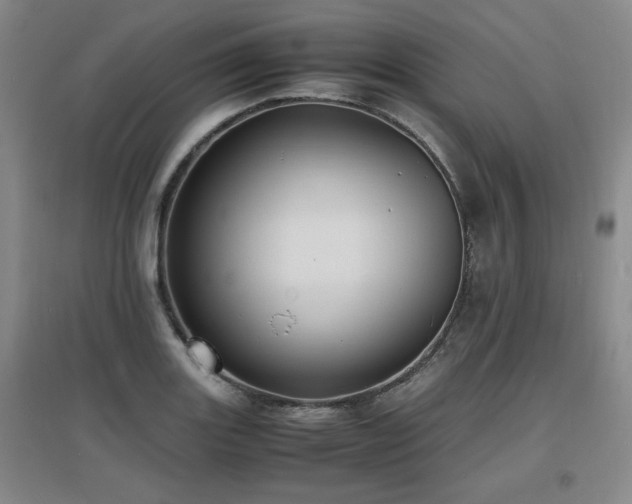 X0000097621131200802291319