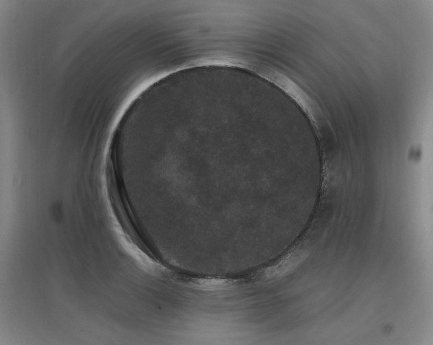 X0000097621132200802291319