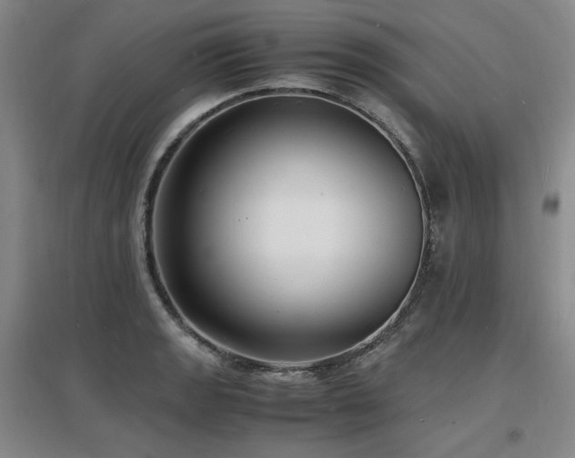 X0000097621133200802291319
