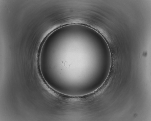 X0000097621134200802291319
