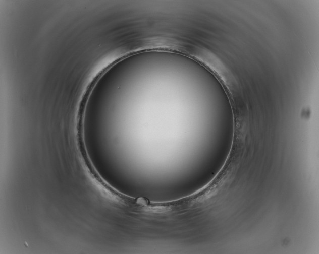 X0000097621135200802291319