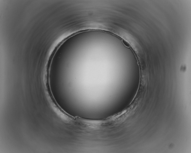X0000097621136200802291319