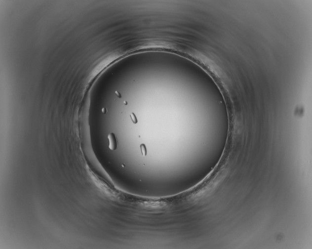 X0000097621137200802291319