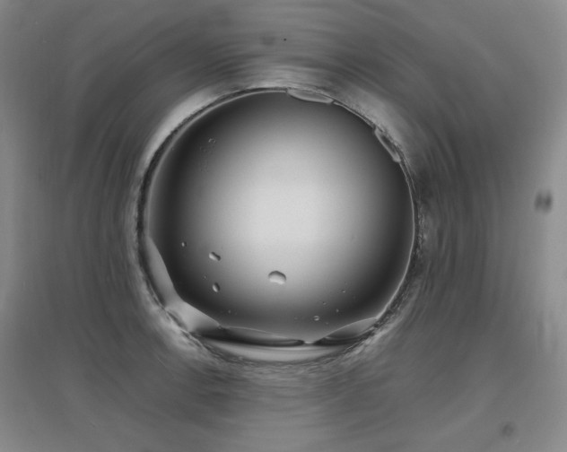 X0000097621138200802291319