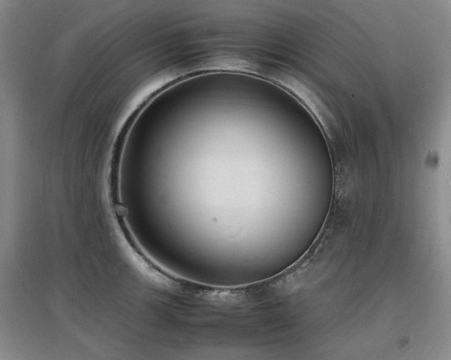 X0000097621139200802291319