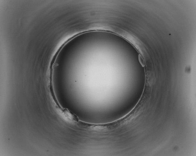 X0000097621140200802291319