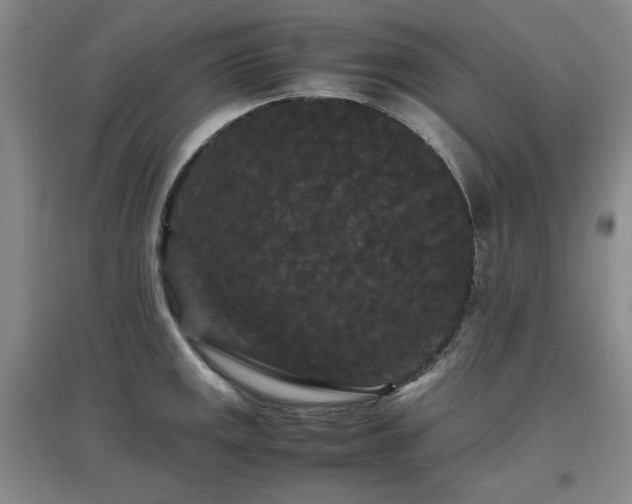 X0000097621141200802291319