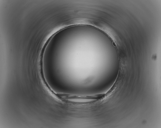 X0000097621142200802291319