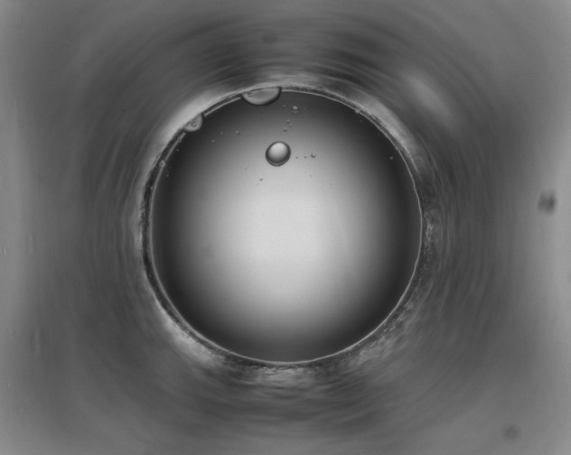 X0000097621143200802291319