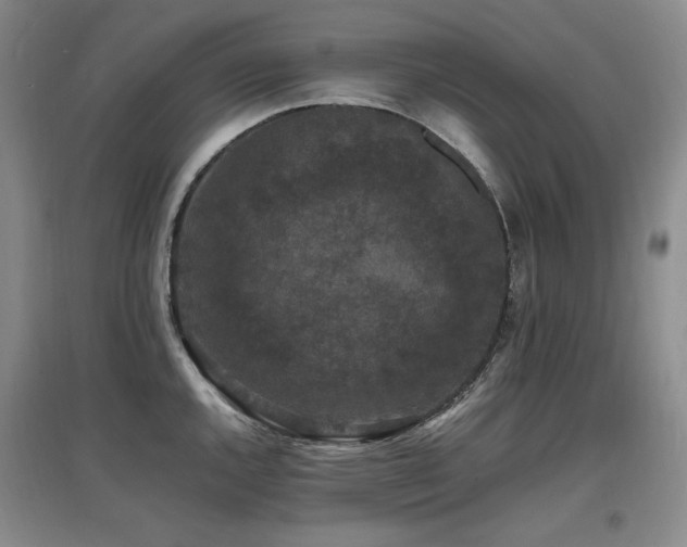 X0000097621144200802291319