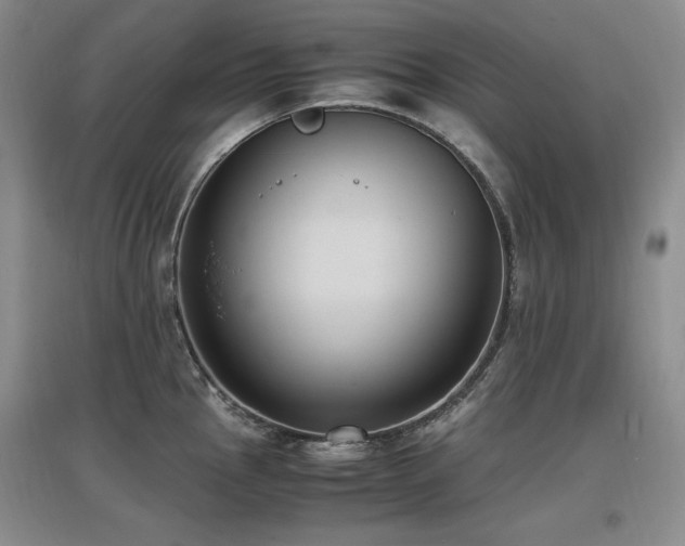 X0000097621145200802291319