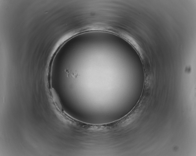 X0000097621146200802291319