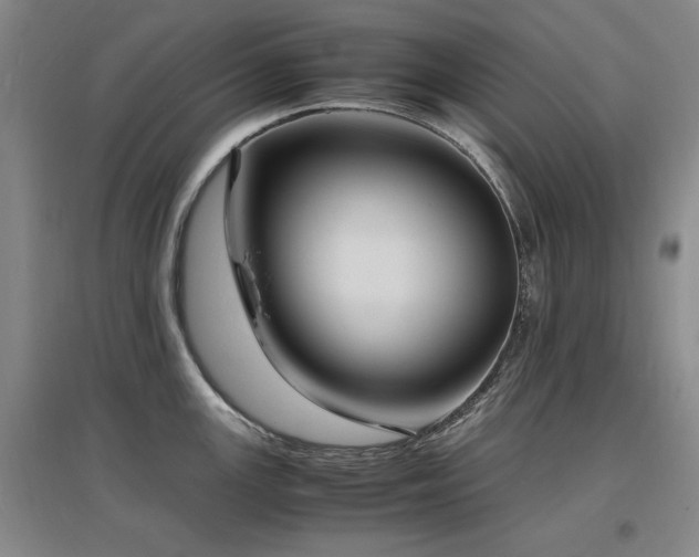 X0000097621147200802291319