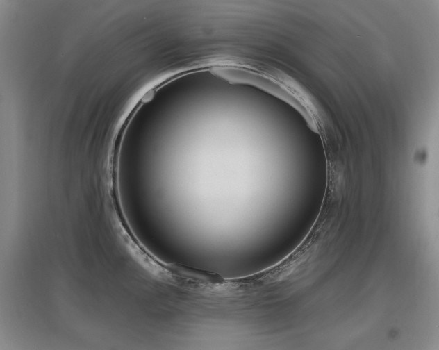 X0000097621148200802291319