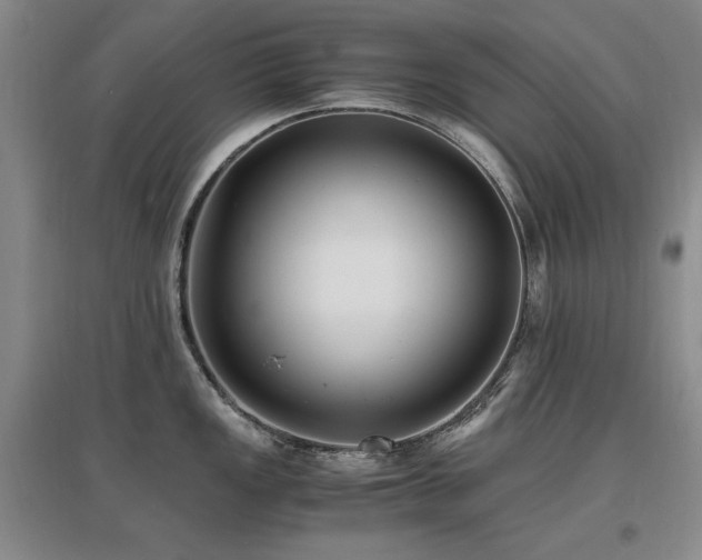 X0000097621149200802291319