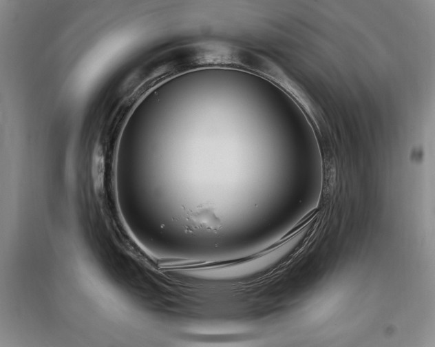X0000097621151200802291319