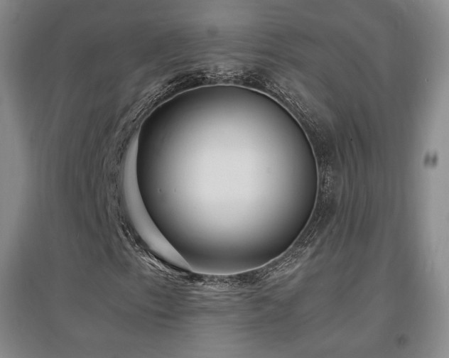 X0000097621153200802291319
